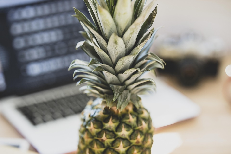 Piña Fruta Comida Computadora - Foto gratis en Pixabay
