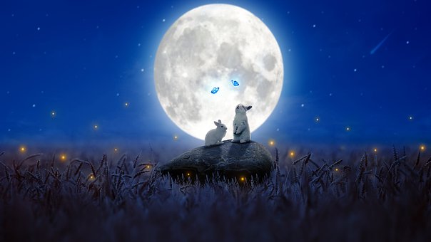 Kaninchen, Schmetterlinge, Hasen, Mond