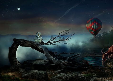 Free Nocturne Fantasia photo and picture