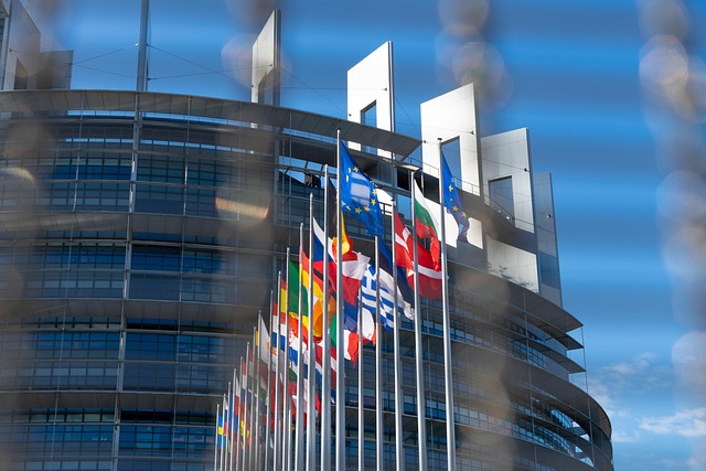 Europe Palace, Europe, Flags