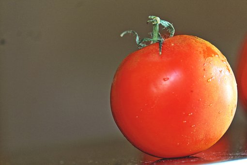 Free Tomato Vegetable photo and picture