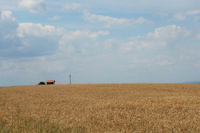 Free Fields House photo and picture