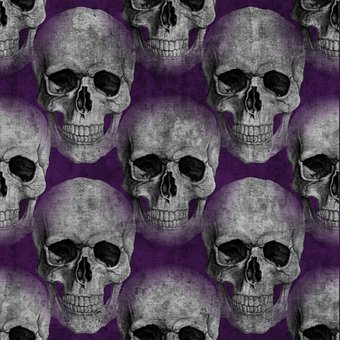 Free Skulls Skull photo and picture