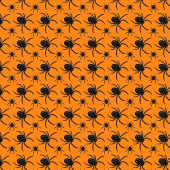 Free Spiders Orange photo and picture
