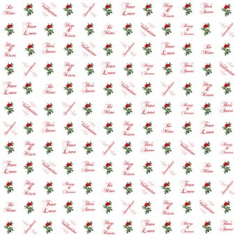 Free Flower Roses photo and picture