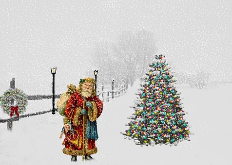 Free Christmas Christmas Tree photo and picture