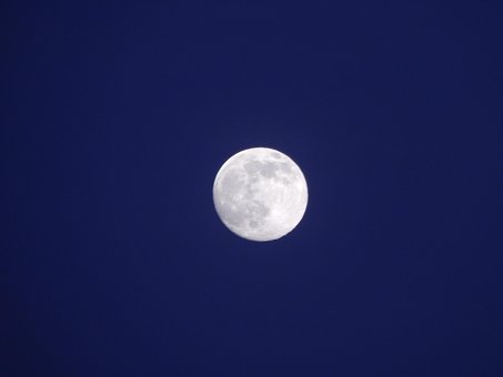 Free Full Moon Night photo and picture