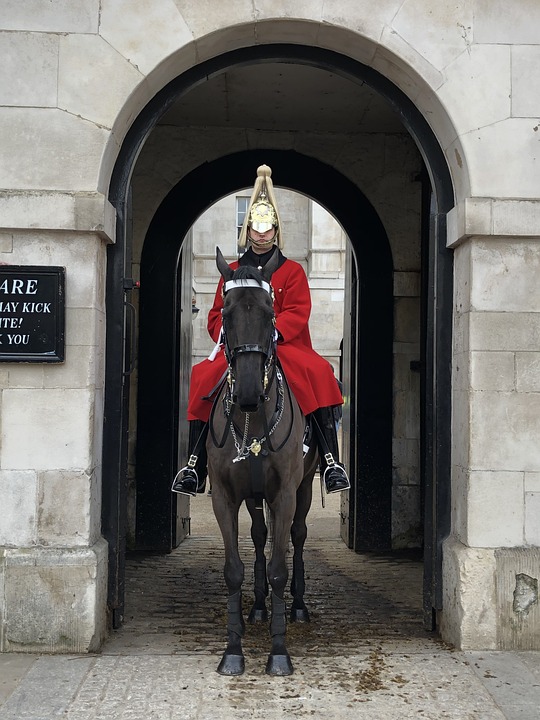 cheval-garder-londres-photo-gratuite-sur-pixabay