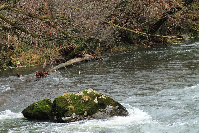 Free River Water photo and picture