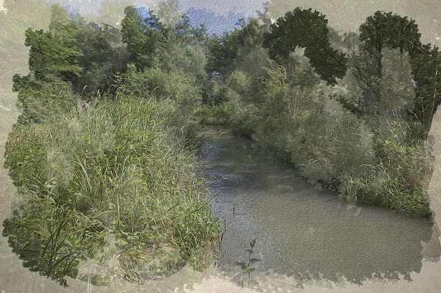 Rivier, Water, Natuur, Landschap