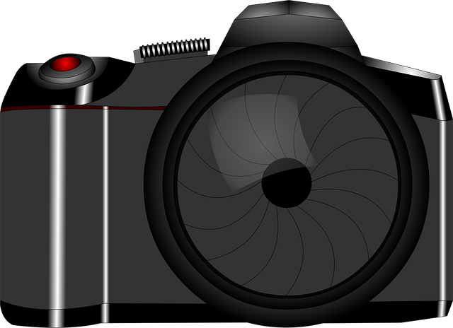 Free camera photograph photography vector