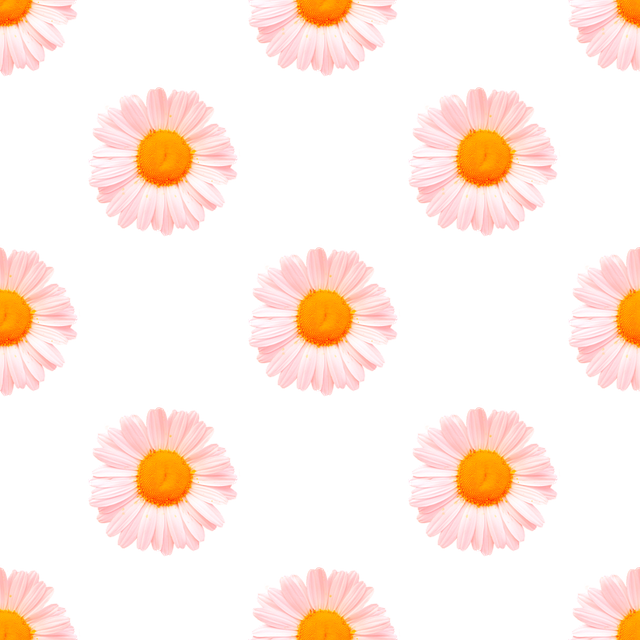 Free seamless daisies flowers illustration