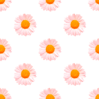 Free Seamless Daisies illustration and picture