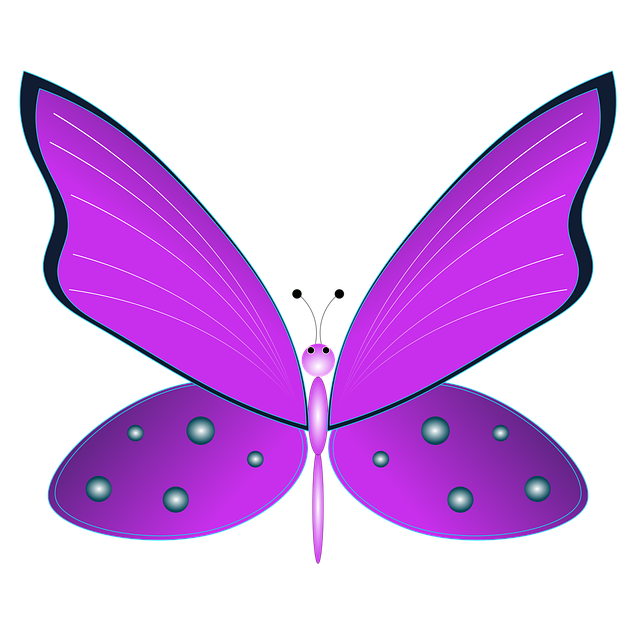 Free butterfly insect wings illustration