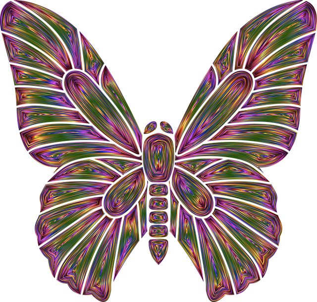 Free butterfly insect wings illustration