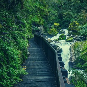 Brücke, Fluss, Grüne Aussehen, Wald
