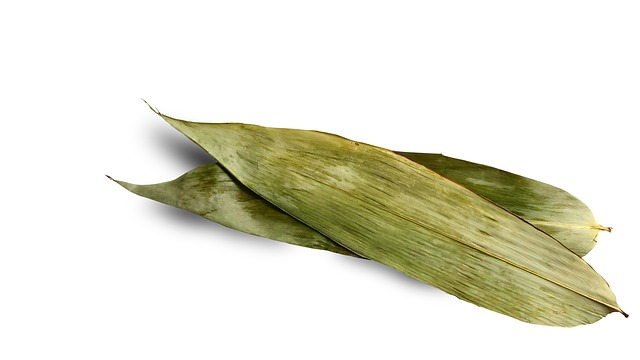 Blad, Drakenbootfestival, Plant