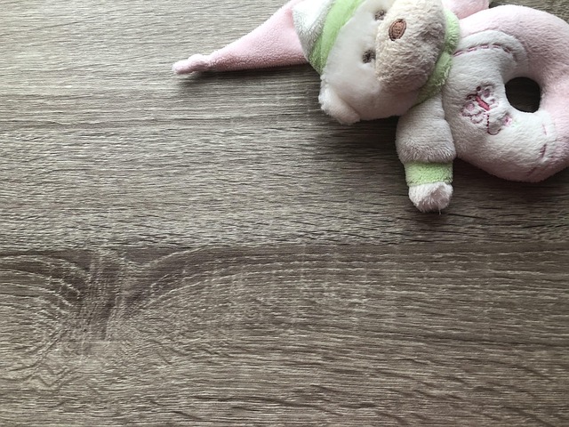 Teddy, Spielzeug, Kleidung, Bebe, Tragen