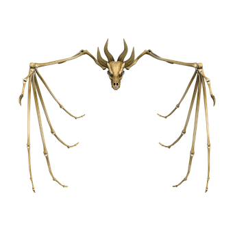 Free Dragon Bone illustration and picture
