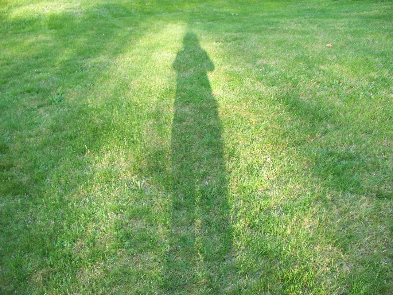 Photographer Shadow Spring - Free photo on Pixabay