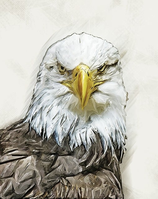 Free eagle bird nature illustration
