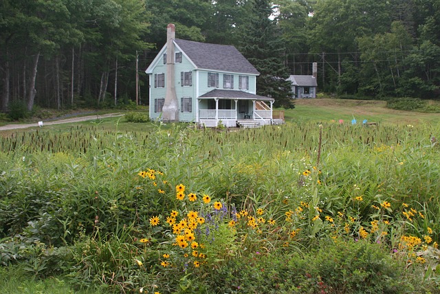 Free Wildflowers Flowers photo and picture