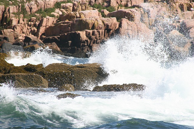 Free Maine Nature photo and picture