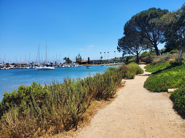 Free Point Loma Beach Path photo and picture