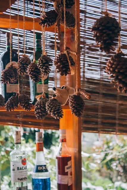 Acorn Hanginng Display - Free photo on Pixabay