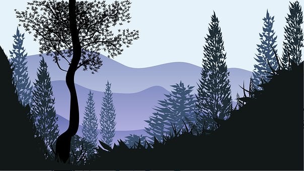 Skog, Himmel, Tre, Fjell, Anlegg, Blader