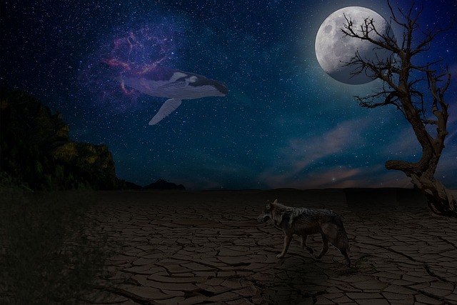 Free Whale Wolf photo and picture