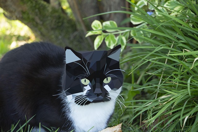 Free Cat Garden photo and picture