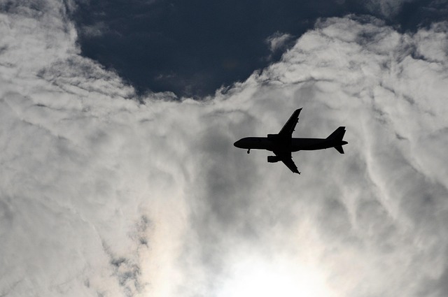 Free Airplane Trip photo and picture