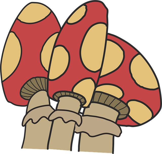 Free mushroom spotted toadstool vector