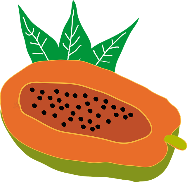 Free Papaya Fruit vector and picture