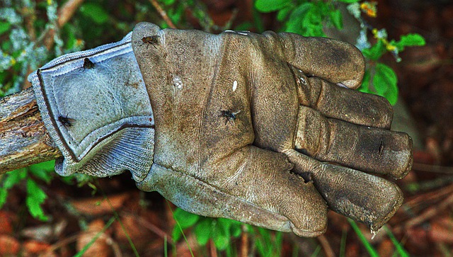 Free work glove hung up flying illustration