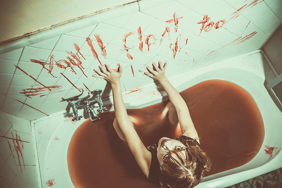 Bloody Hell Hotel launches in 2027