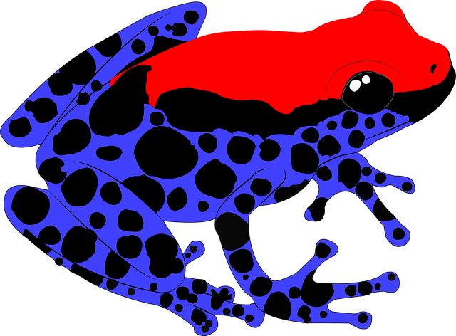 Free frog jungle poison illustration