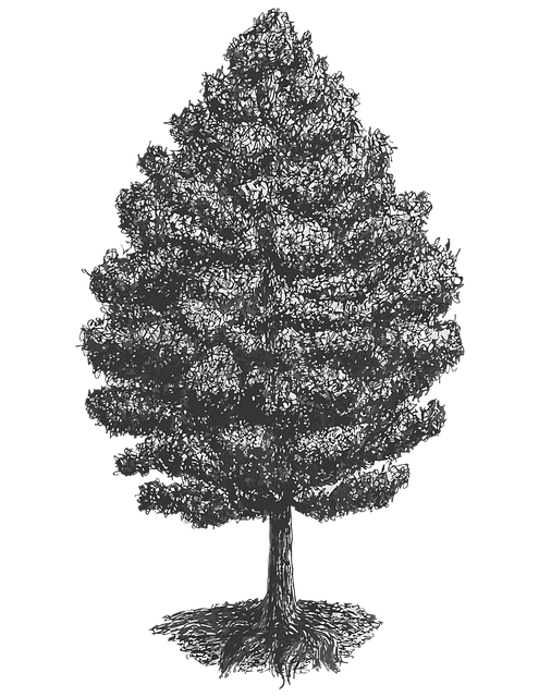 Free Tree Plant illustration and picture