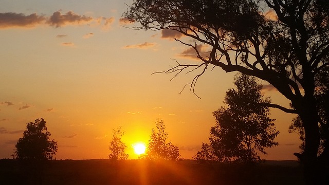 Free Sunrise Dawn photo and picture