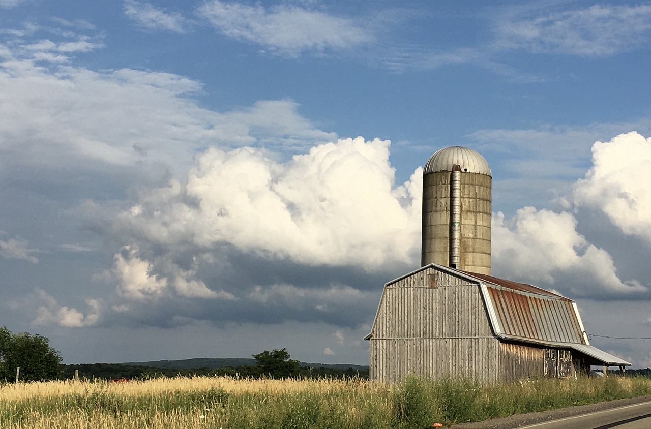 Barn - free online jigsaw puzzle photo