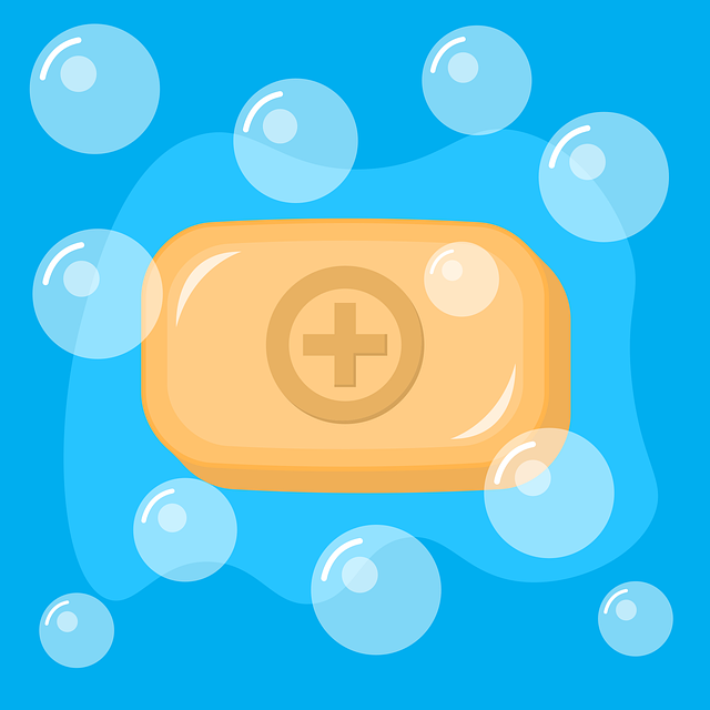 Free soap hand wash cleanliness vector