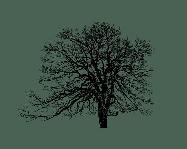 Free design graphic dark illustration