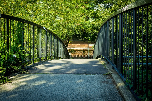 Free Path Bridge photo and picture