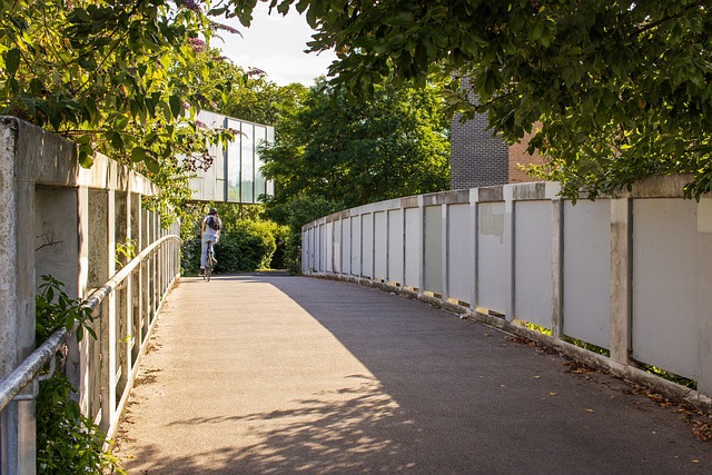 Free Bridge Walkway photo and picture