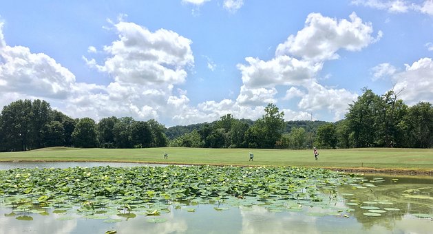 Free Golf Pond photo and picture