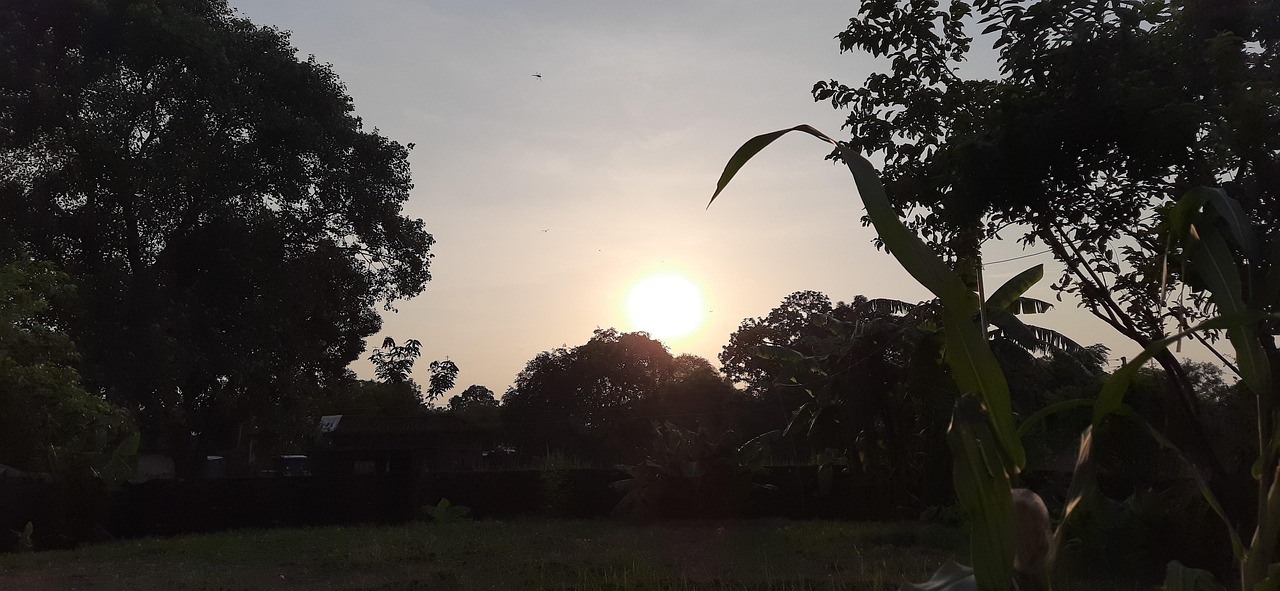 Morning Time Rising Sun Sun Rising Morning - Free photo on Pixabay - Pixabay