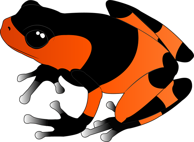 Free frog exotic animal illustration
