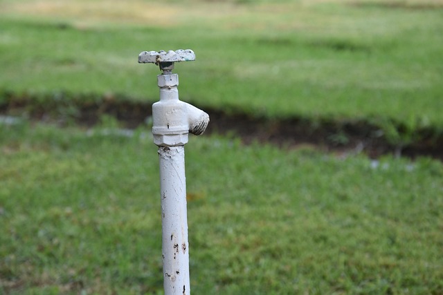 Free Faucet Water photo and picture