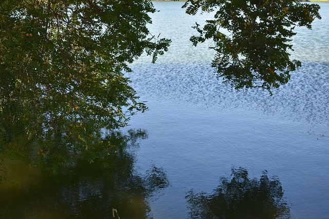 Free Lake Water photo and picture